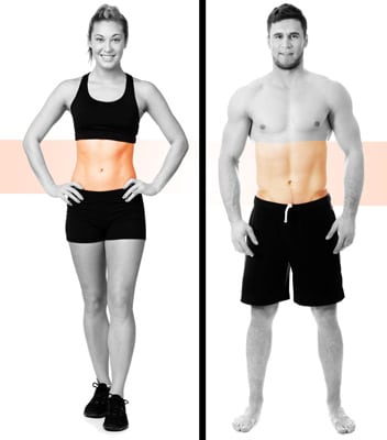 Vanquish Fat Melting Laser Areas